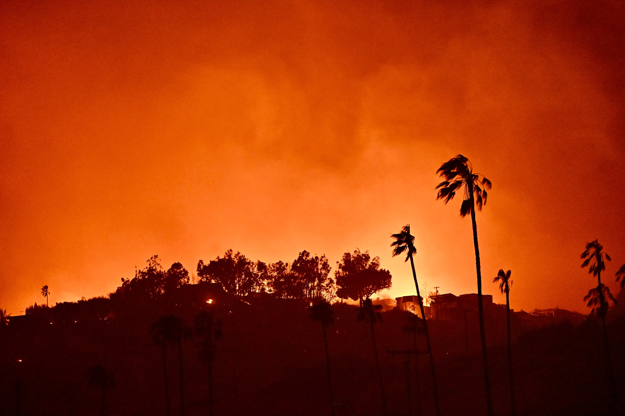 Homes burn above Pacific Coast Highway near Will Rodgers State Beach during the Palisades Fire on Wednesday, January 8, 2025, in Pacific Palisades, CA.
